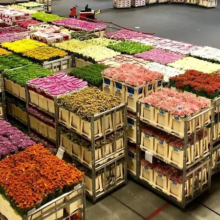 Tekne Quiet Waterloft Near Amsterdam And Schiphol Ws17